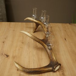Schnapsleverancier 5 grote glazen met steel op een stang van roodhertenhoorn Cadeau 27.60.2.65