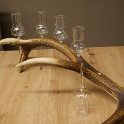Schnapsleverancier 5 grote glazen met steel op een stang van roodhertenhoorn Cadeau 27.60.2.65