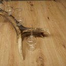 Fournisseur de schnaps : lot de 5 grands verres à pied sur un support en bois de cerf rouge - Cadeau 27.60.2.66