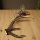 Fournisseur de schnaps : lot de 5 grands verres à pied sur un support en bois de cerf rouge - Cadeau 27.60.2.66