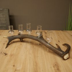 Fournisseur de schnaps : lot de 5 grands verres à pied sur un support en bois de cerf rouge - Cadeau 27.60.2.66