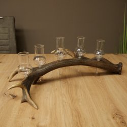 Fournisseur de schnaps : lot de 5 grands verres à pied sur un support en bois de cerf rouge - Cadeau 27.60.2.66