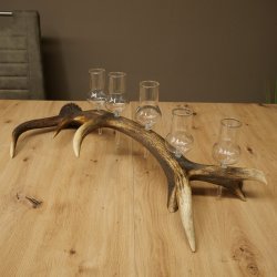 Fournisseur de schnaps : lot de 5 grands verres à pied sur un support en bois de cerf rouge - Cadeau 27.60.2.66