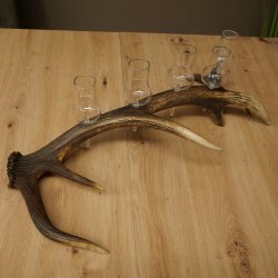 Fournisseur de schnaps : lot de 5 grands verres à pied sur un support en bois de cerf rouge - Cadeau 27.60.2.66