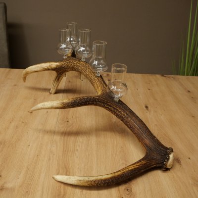 Fournisseur de schnaps : lot de 5 grands verres à pied sur un support en bois de cerf rouge - Cadeau 27.60.2.67
