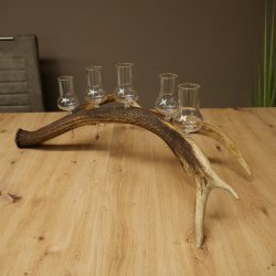 Fournisseur de schnaps : lot de 5 grands verres à pied sur un support en bois de cerf rouge - Cadeau 27.60.2.67