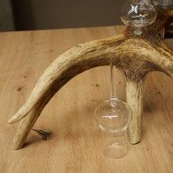 Fournisseur de schnaps : lot de 5 grands verres à pied sur un support en bois de cerf rouge - Cadeau 27.60.2.67