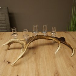 Fournisseur de schnaps : lot de 5 grands verres à pied sur un support en bois de cerf rouge - Cadeau 27.60.2.67