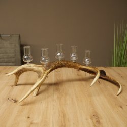 Fournisseur de schnaps : lot de 5 grands verres à pied sur un support en bois de cerf rouge - Cadeau 27.60.2.67
