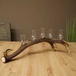 Fournisseur de schnaps : lot de 5 grands verres à pied sur un support en bois de cerf rouge - Cadeau 27.60.2.67