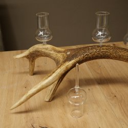 Fournisseur de schnaps : lot de 5 grands verres à pied sur un support en bois de cerf rouge - Cadeau 27.60.2.67