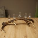 Fournisseur de schnaps : lot de 5 grands verres à...