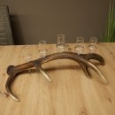 Fournisseur de schnaps : lot de 5 grands verres à...