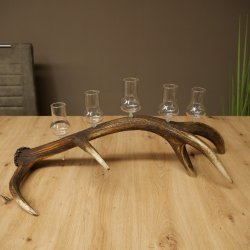 Schnapsleverancier 5 grote glazen met steel op een stang van roodhertenhoorn Cadeau 27.60.2.68