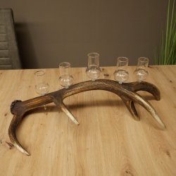 Schnapsleverancier 5 grote glazen met steel op een stang van roodhertenhoorn Cadeau 27.60.2.68