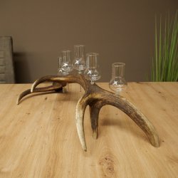 Schnapsleverancier 5 grote glazen met steel op een stang van roodhertenhoorn Cadeau 27.60.2.68