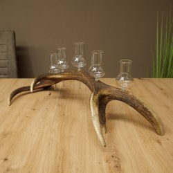 Schnapsleverancier 5 grote glazen met steel op een stang van roodhertenhoorn Cadeau 27.60.2.68