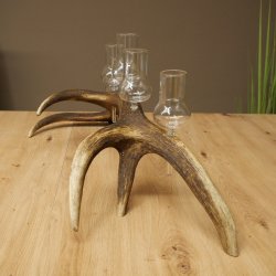 Schnapsleverancier 5 grote glazen met steel op een stang van roodhertenhoorn Cadeau 27.60.2.68