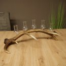 Fournisseur de schnaps : lot de 5 grands verres à pied sur un support en bois de cerf rouge - Cadeau 27.60.2.69