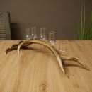 Fournisseur de schnaps : lot de 5 grands verres à pied sur un support en bois de cerf rouge - Cadeau 27.60.2.69