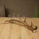 Fournisseur de schnaps : lot de 5 grands verres à pied sur un support en bois de cerf rouge - Cadeau 27.60.2.69