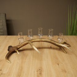 Fournisseur de schnaps : lot de 5 grands verres à pied sur un support en bois de cerf rouge - Cadeau 27.60.2.69
