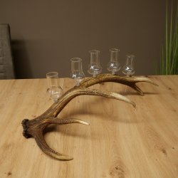 Fournisseur de schnaps : lot de 5 grands verres à pied sur un support en bois de cerf rouge - Cadeau 27.60.2.69