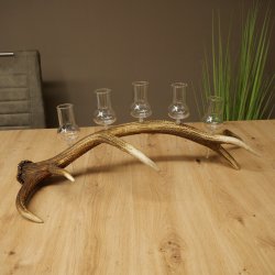 Fournisseur de schnaps : lot de 5 grands verres à pied sur un support en bois de cerf rouge - Cadeau 27.60.2.69