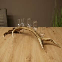 Fournisseur de schnaps : lot de 5 grands verres à pied sur un support en bois de cerf rouge - Cadeau 27.60.2.69