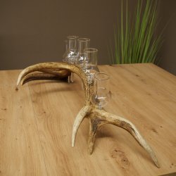 Fournisseur de schnaps : lot de 5 grands verres à pied sur un support en bois de cerf rouge - Cadeau 27.60.2.69