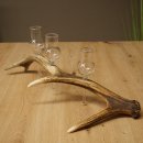 Fournisseur dalcool : lot de 3 petits verres à...