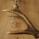 Liqueur Set: 3 Small Stemmed Glasses on a Red Deer Antler Stand – Gift 27.60.2.70