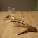 Liqueur Set: 3 Small Stemmed Glasses on a Red Deer Antler Stand – Gift 27.60.2.70