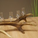 Lot de 6 petits verres à schnaps avec pied, présentés sur une corne de cerf rouge - Cadeau 27.60.2.71