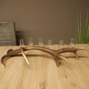 Lot de 6 petits verres à schnaps avec pied, présentés sur une corne de cerf rouge - Cadeau 27.60.2.71