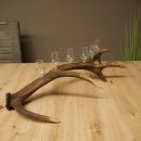 Lot de 6 petits verres à schnaps avec pied, présentés sur une corne de cerf rouge - Cadeau 27.60.2.71