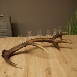 Lot de 6 petits verres à schnaps avec pied, présentés sur une corne de cerf rouge - Cadeau 27.60.2.71
