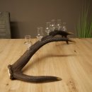 Lot de 6 petits verres à schnaps avec pied, présentés sur un support en bois de cerf rouge - Cadeau 27.60.2.72