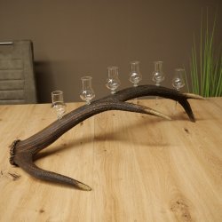 Lot de 6 petits verres à schnaps avec pied, présentés sur un support en bois de cerf rouge - Cadeau 27.60.2.72