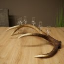 Lot de 6 petits verres à schnaps avec pied,...
