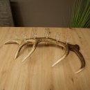Lot de 6 petits verres à schnaps avec pied,...