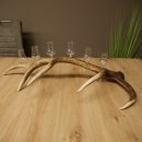 Lot de 6 petits verres à schnaps avec pied, présentés sur un support en bois de cerf rouge - Cadeau 27.60.2.73