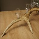 Lot de 6 petits verres à schnaps avec pied, présentés sur un support en bois de cerf rouge - Cadeau 27.60.2.73