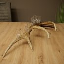 Lot de 6 petits verres à schnaps avec pied, présentés sur un support en bois de cerf rouge - Cadeau 27.60.2.73