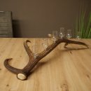 Lot de 6 petits verres à schnaps avec pied, présentés sur un support en bois de cerf rouge - Cadeau 27.60.2.73