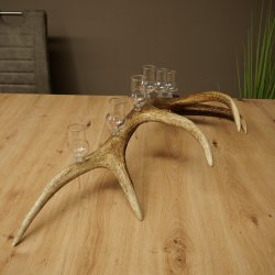 Lot de 6 petits verres à schnaps avec pied, présentés sur un support en bois de cerf rouge - Cadeau 27.60.2.73
