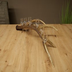 Lot de 6 petits verres à schnaps avec pied, présentés sur un support en bois de cerf rouge - Cadeau 27.60.2.73