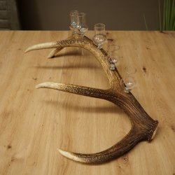 Lot de 6 petits verres à schnaps avec pied, présentés sur un support en bois de cerf rouge - Cadeau 27.60.2.73
