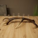 Lot de 6 petits verres à schnaps avec pied,...