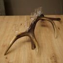 Lot de 6 petits verres à schnaps avec pied, présentés sur un support en bois de cerf rouge - Cadeau 27.60.2.74